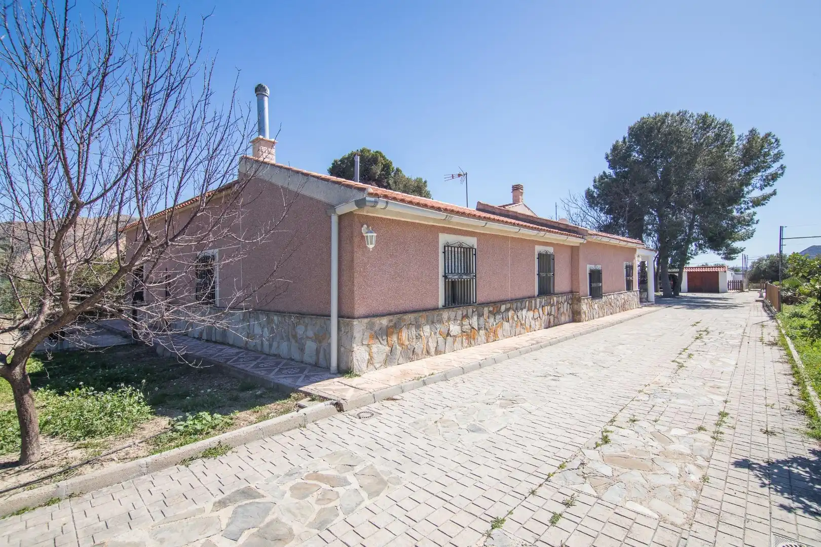 Vista exterior de Casa o chalet en venta en Redován con Jardín privado, Terraza y Piscina