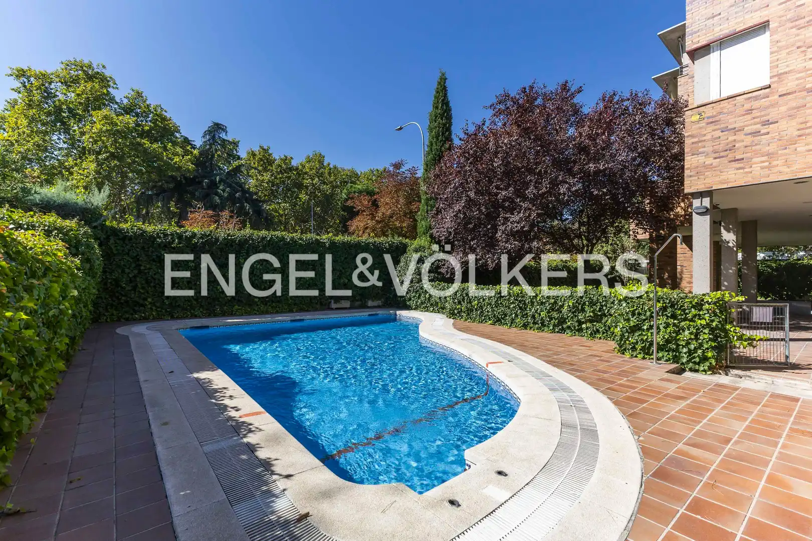 Piscina de Pis en venda en Ciudad Lineal