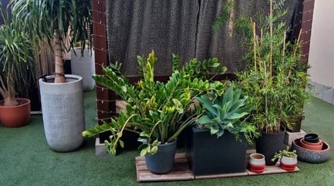 Foto 2 de Planta baja en venta en Reina Fabiola de Belgica, 6, Cabezo de Torres, Murcia Capital