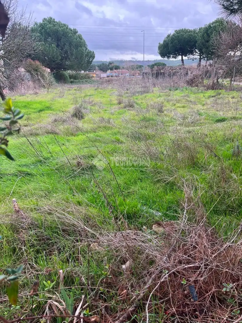 Terreno residenziale in vendita a Tudela de Duero, imagen 5