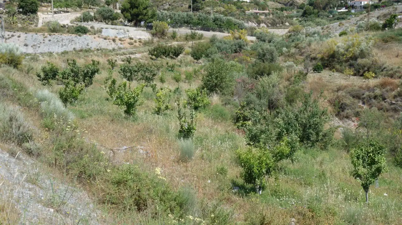 Casa rústica amb piscina en venda a Vélez de Benaudalla, imagen 11