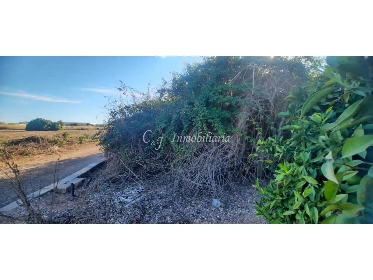 Terrain rustique à vendre à Puerto de Sagunto, imagen 3