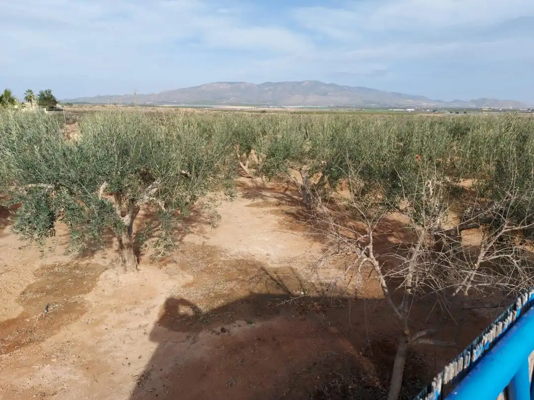 Finca rústica en venda en Fuente Álamo de Murcia amb Aire condicionat, Calefacció i Jardí privat