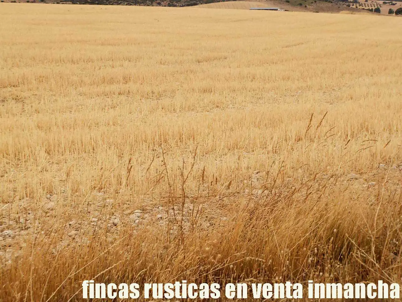 Terreni e lotti in vendita a Belmonte, imagen 4