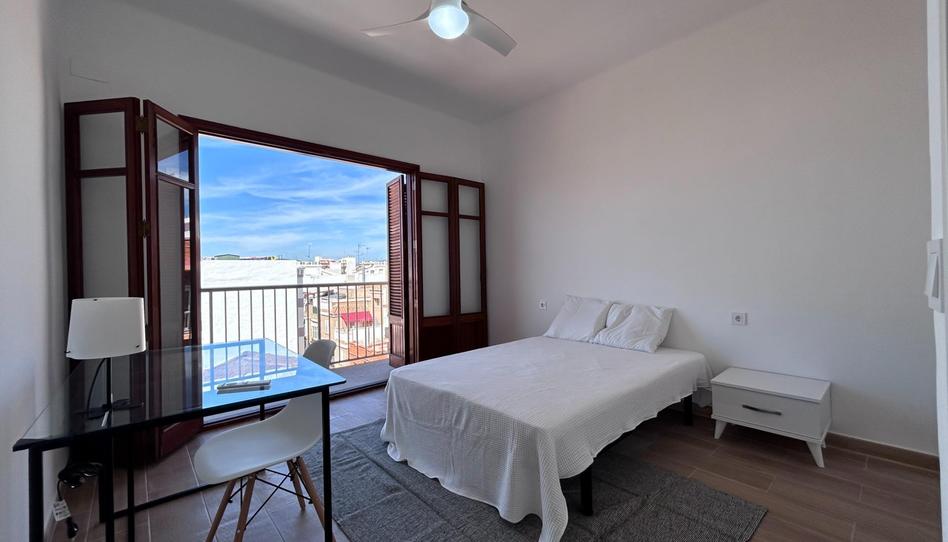 Photo 1 of Flat to share in Calle del Progreso, Playa Puerto de Sagunto, Valencia