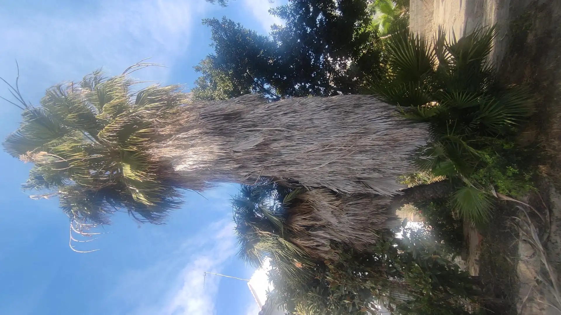 Jardí de Casa o xalet en venda en Tarragona
