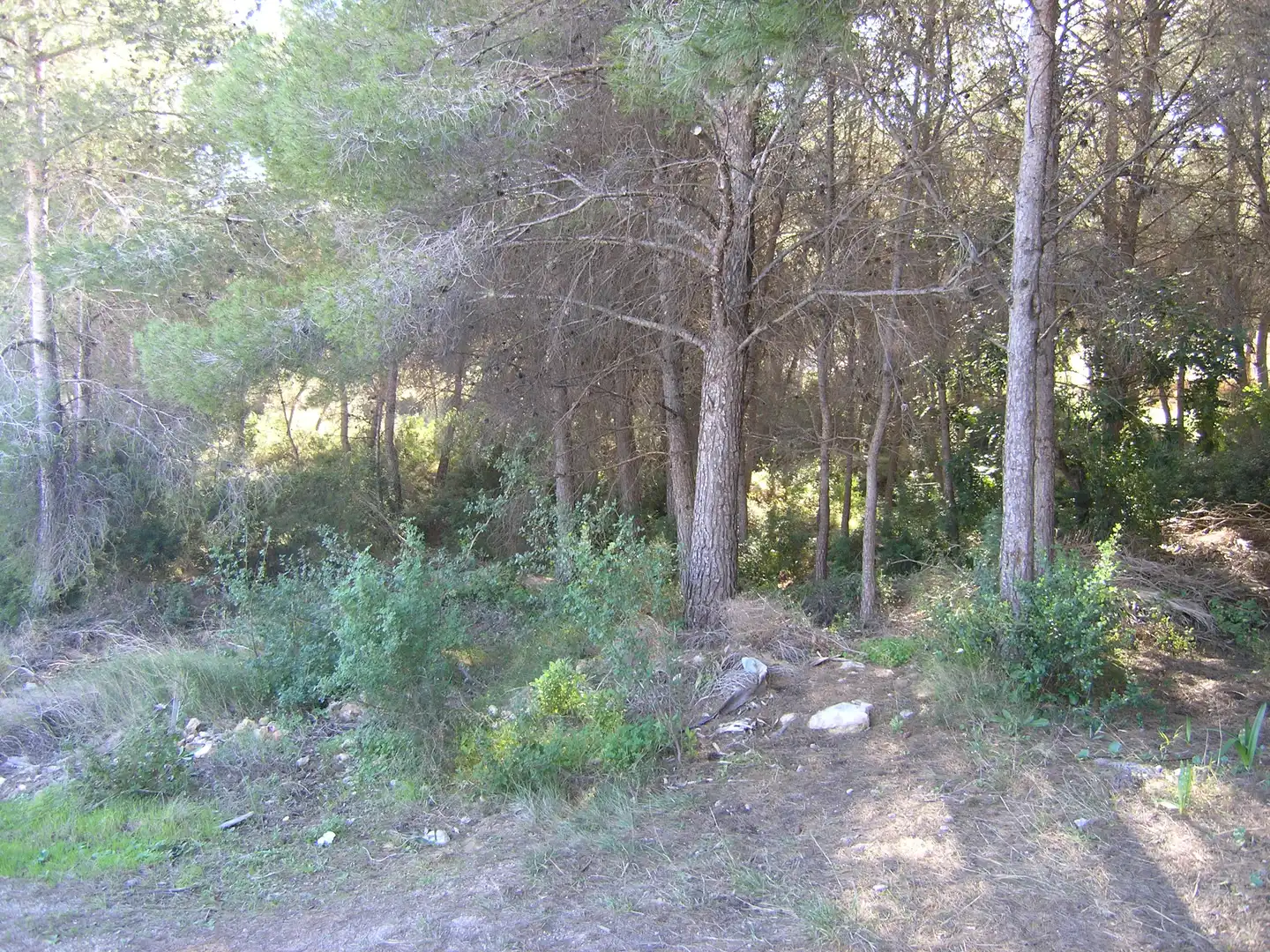Terreno residencial en venta en Pinar del Advocat - Cometa, imagen 9
