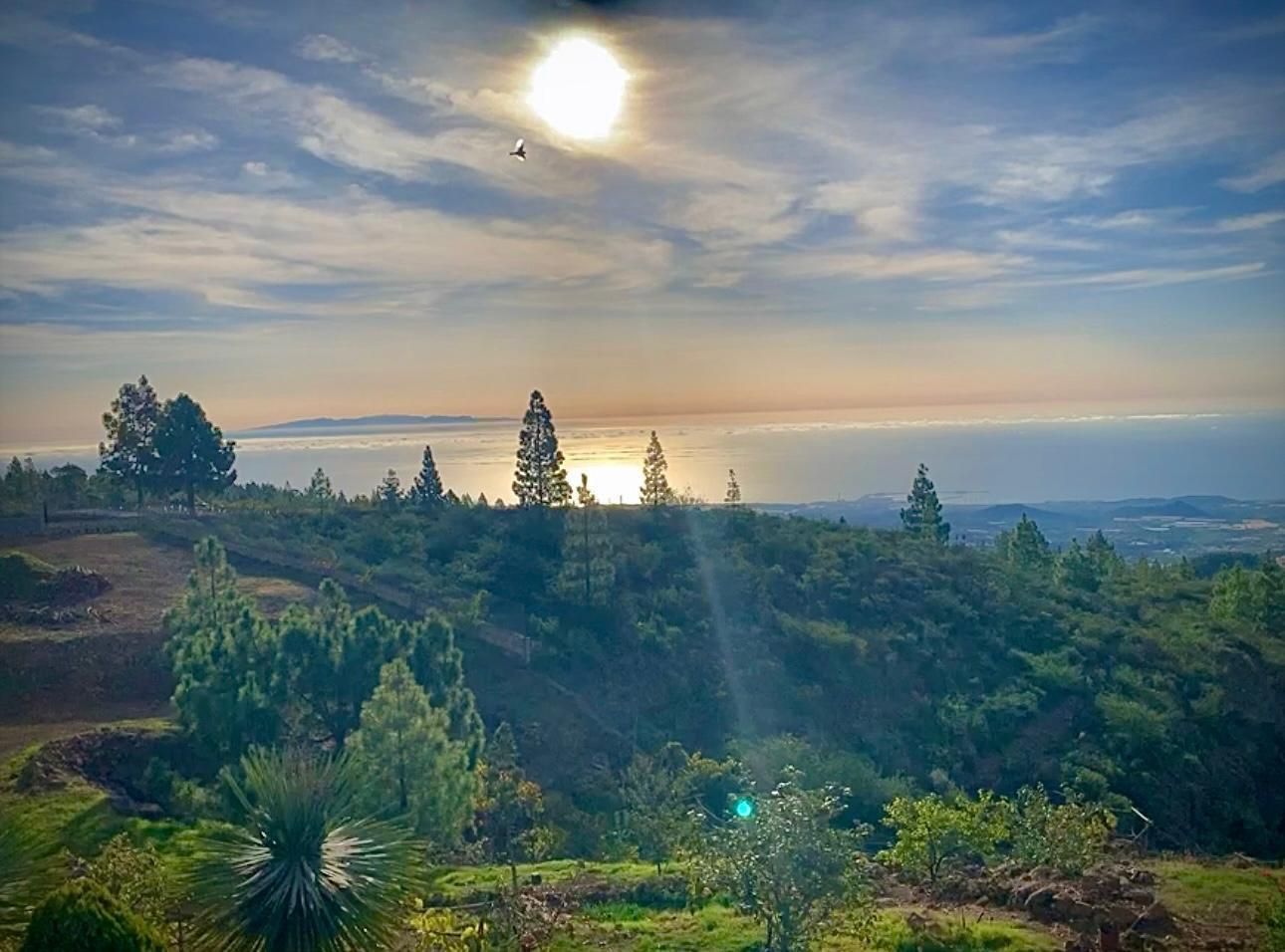 Vista exterior de Finca rústica en venda en Granadilla de Abona amb Calefacció i Alarma