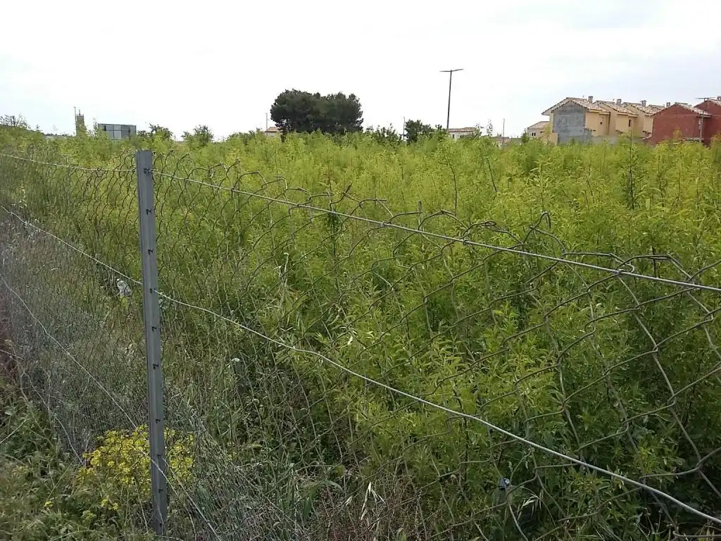 Terreny rústic en venda a POLIGONO, imagen 3