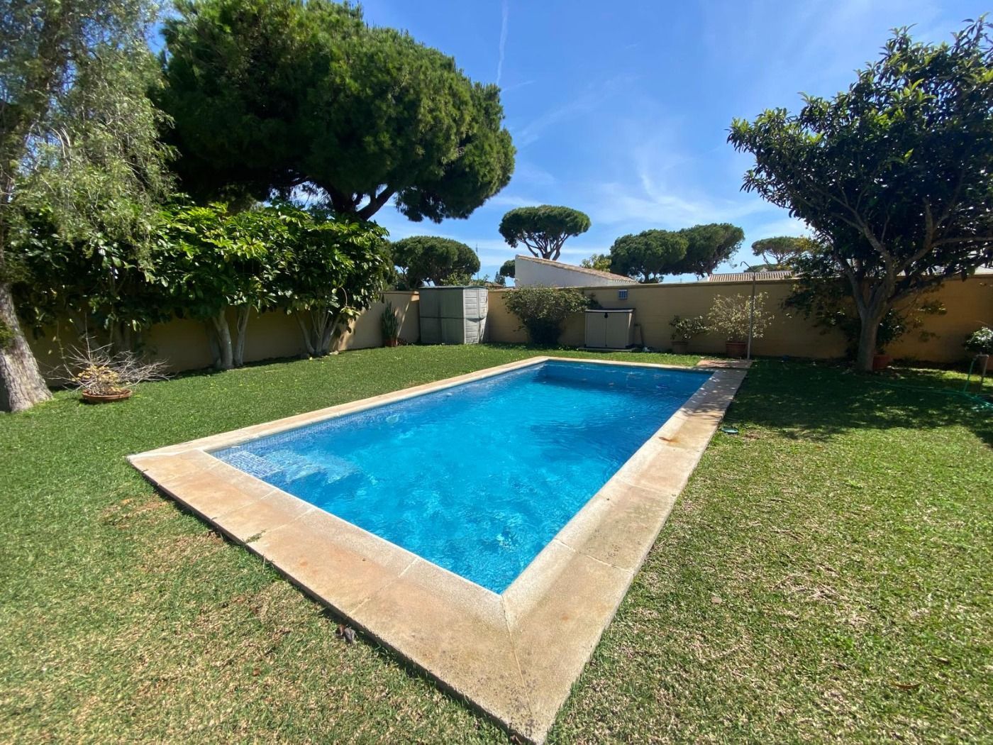 Swimming pool of House or chalet for sale in Chiclana de la Frontera  with Private garden and Swimming Pool