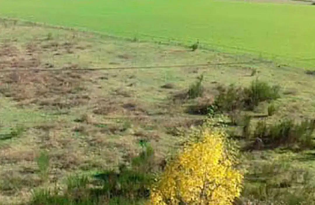 Terreny rústic en venda a Santa Pau