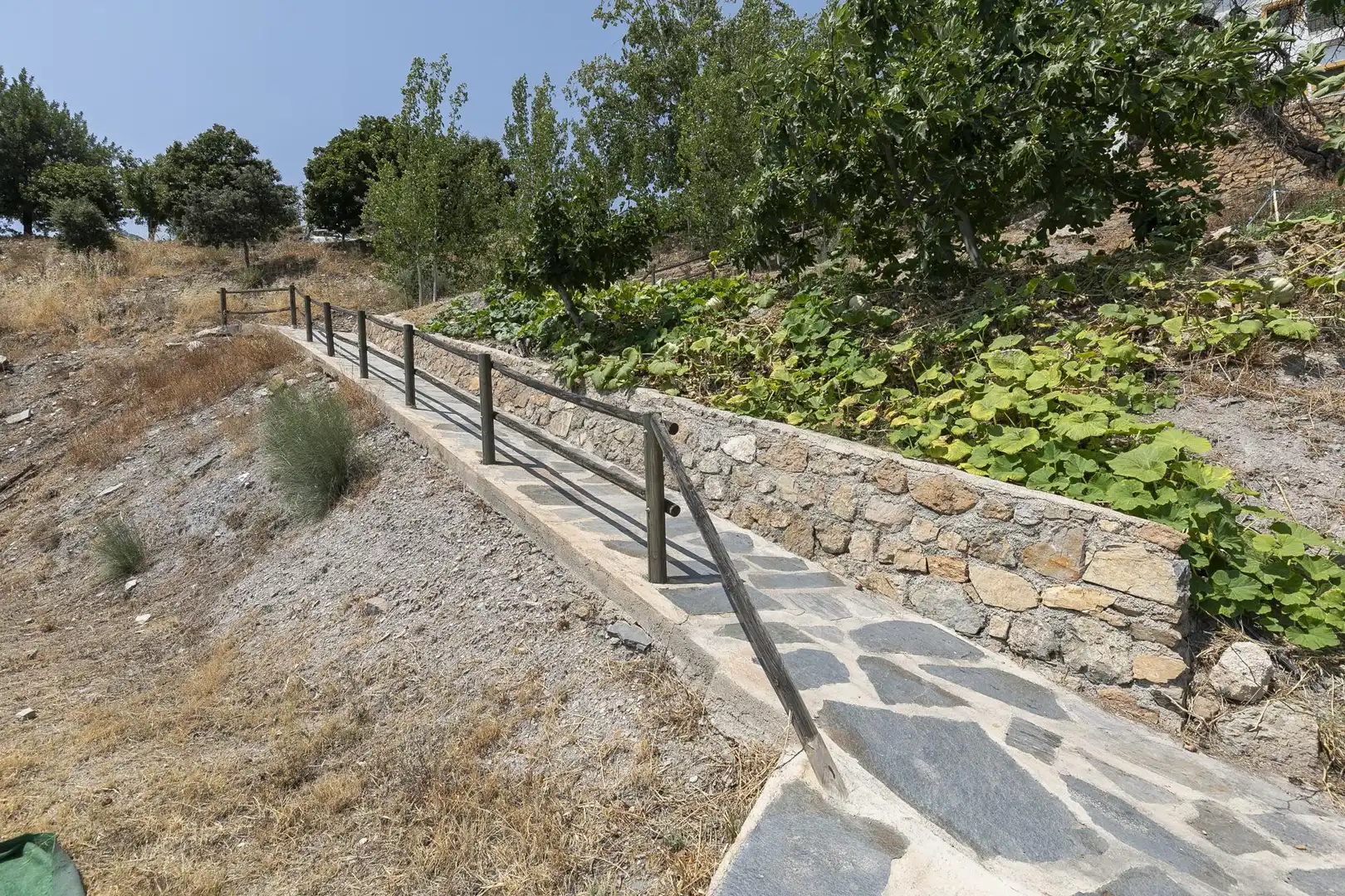 Jardí de Local en venda en Granada