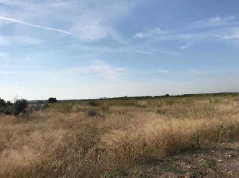 Grundstücke zum verkauf in Moncofa