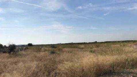 Foto 3 de Terreny en venda a Fosaret( Polígono 11), S/n, Moncófar Pueblo, Moncofa