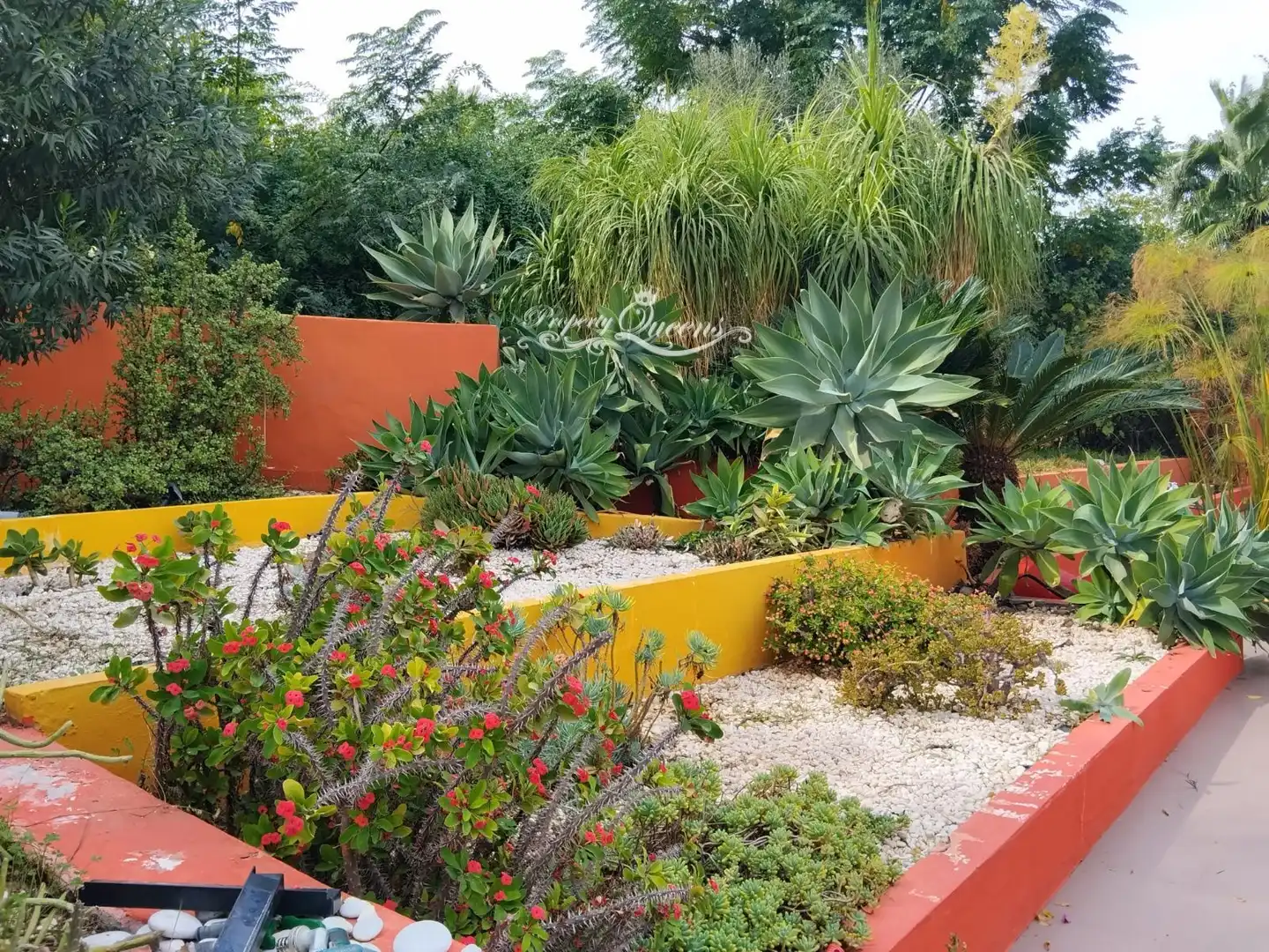 Terreny rústic en venda a Punta Plata, imagen 26