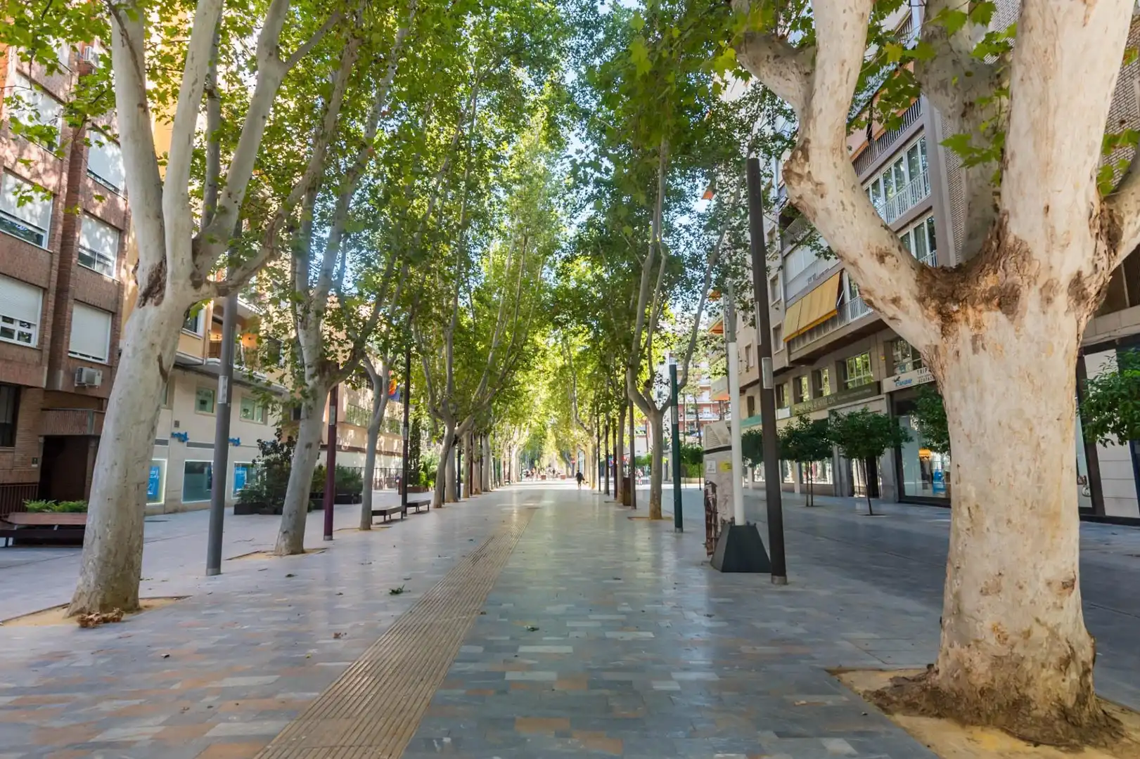 Vista exterior de Pis en venda en Murcia amb Aire condicionat i Terrassa