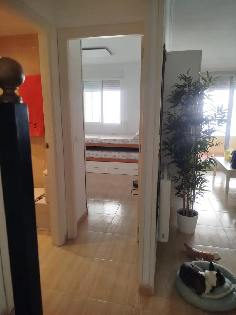 Dúplex de lloguer a Calle JAUME ROIG, 3, Canet d'En Berenguer