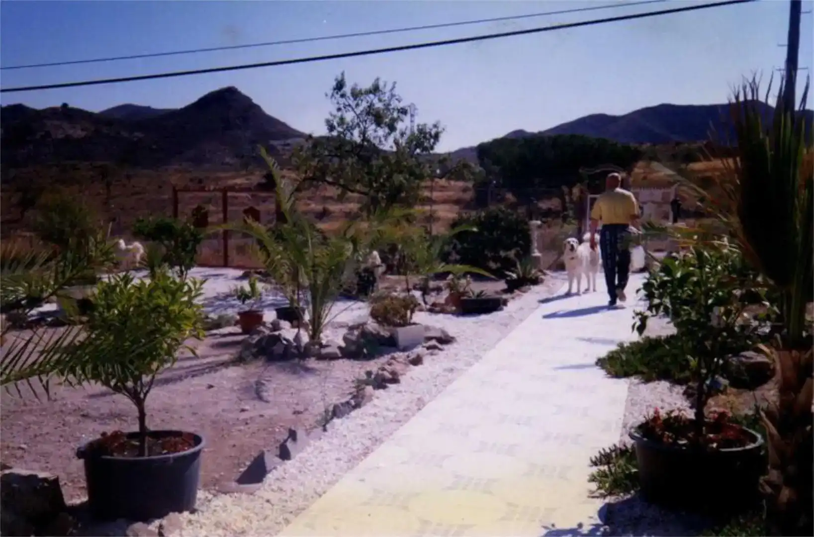 Vista exterior de Finca rústica en venta en Lorca