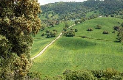 Foto 2 de Finca rústica en venda a El Pópulo - Santa María, Cádiz