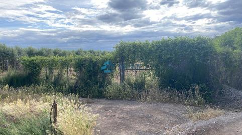 Photo 2 of Country house for sale in Canet, Pau Lledó, Castellón