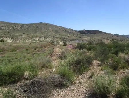 Lands and plots for sale in Ptda El Salado, imagen 6