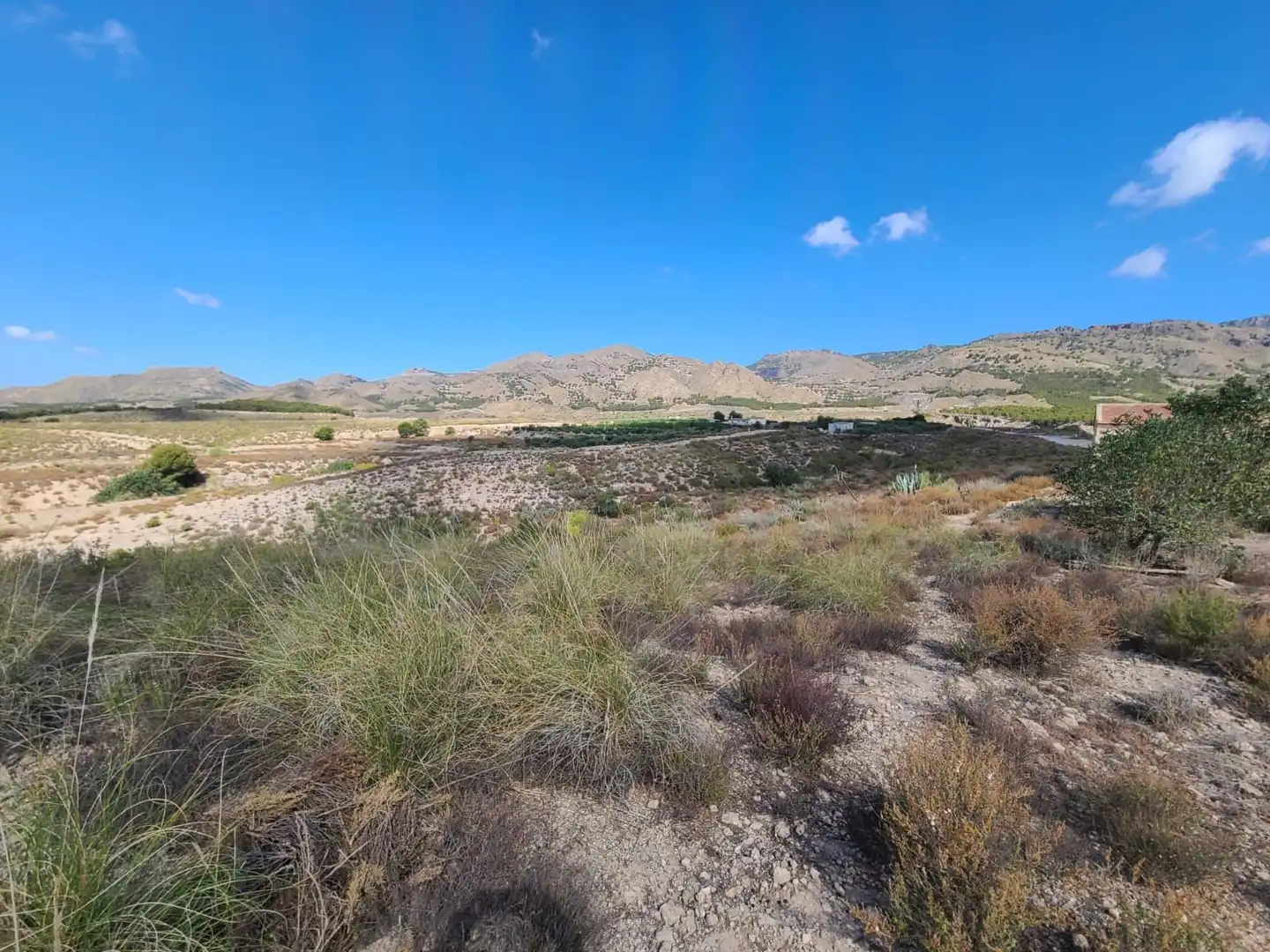 Terrains et parcelles à vendre à Pedanías Centro, imagen 32