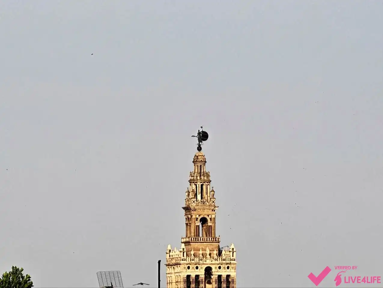 Außenansicht von Maisonette zur Miete in Sevilla mit Klimaanlage, Terrasse und Möbliert