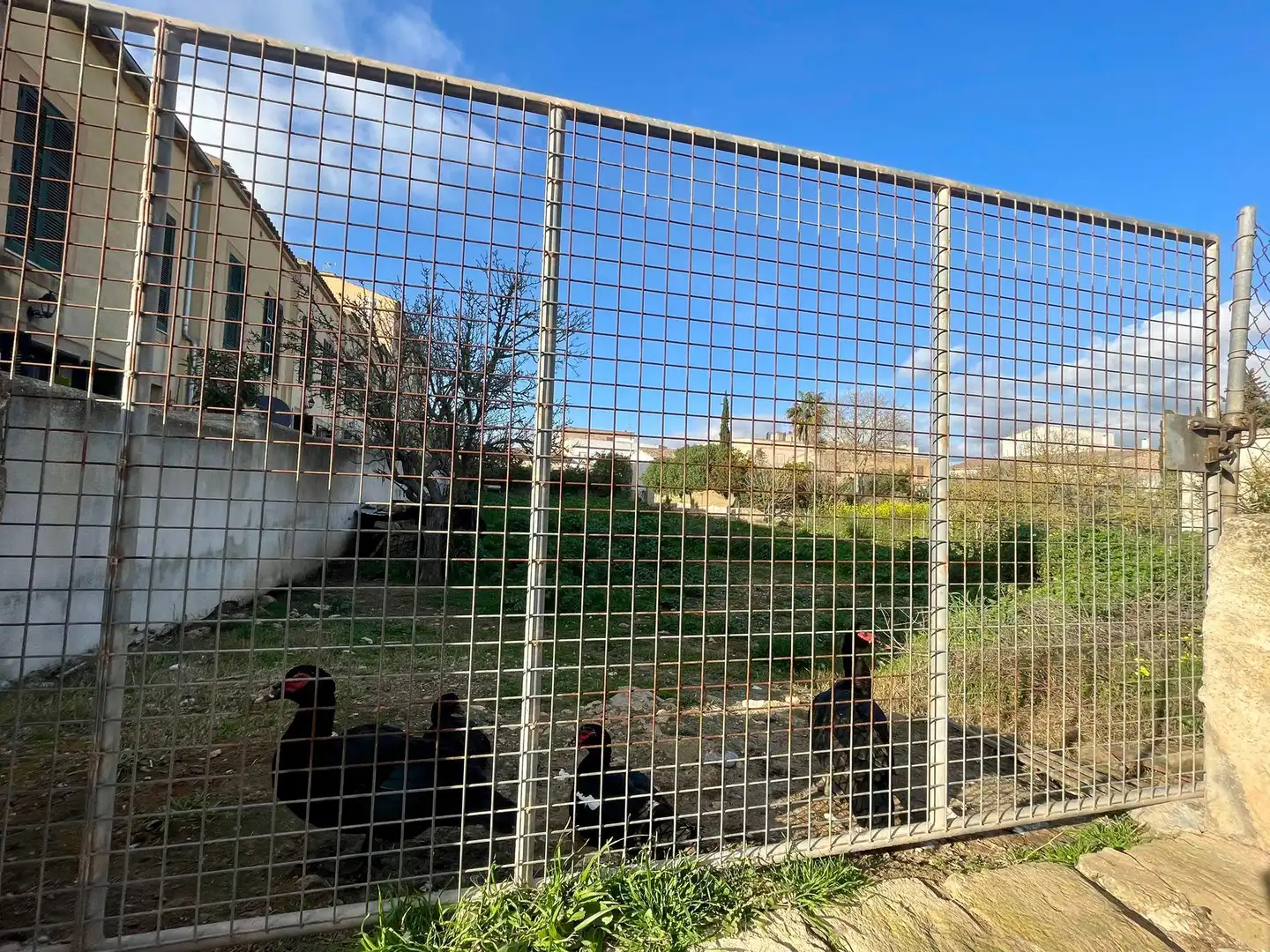 Rustikales Grundstück zum Verkauf in S'Horta - Cas Concos des Cavaller - Es Carritxó, imagen 4