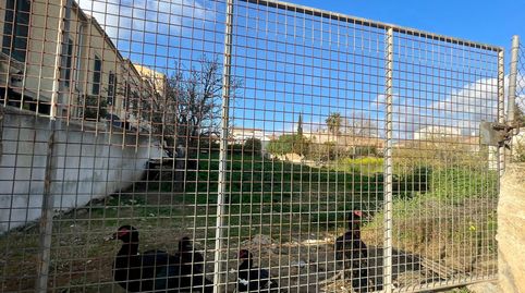 Foto 4 de Terreny en venda a S'Horta - Cas Concos des Cavaller - Es Carritxó, Felanitx