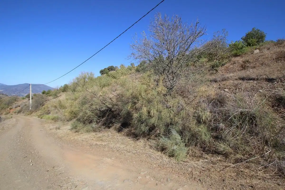 Terreno rustico in vendita a Poligono 9