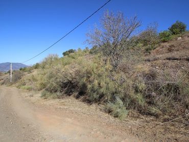 Terreno rustico in vendita a Poligono 9