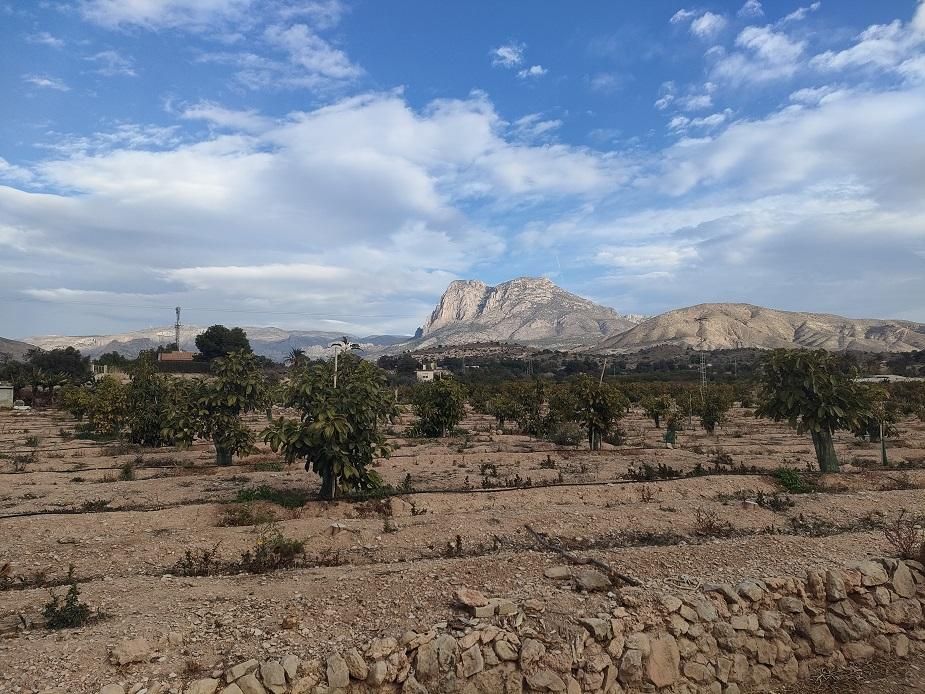 Single-family semi-detached for sale in El Secanet - Hacienda del Sol