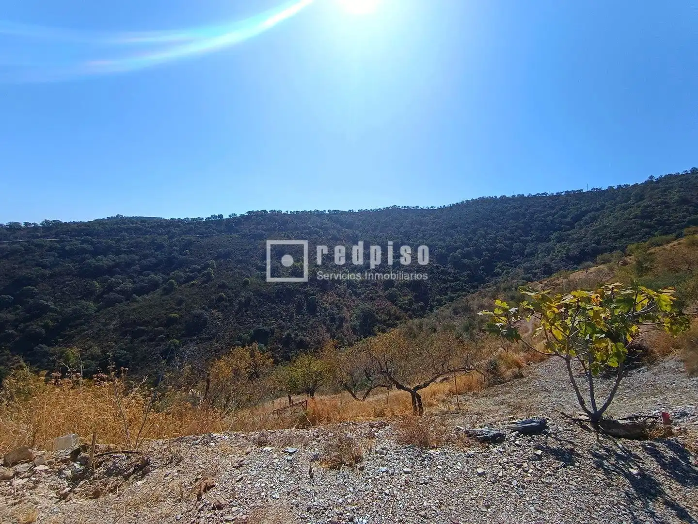 Residencial en venda en Málaga