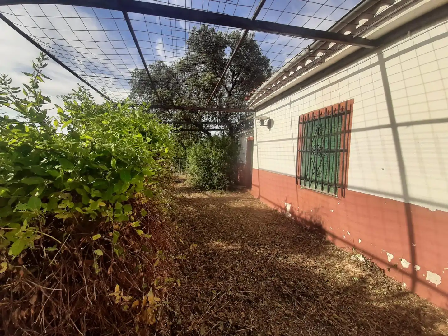 Jardí de Casa o xalet en venda en Cáceres amb Calefacció, Jardí privat i Terrassa