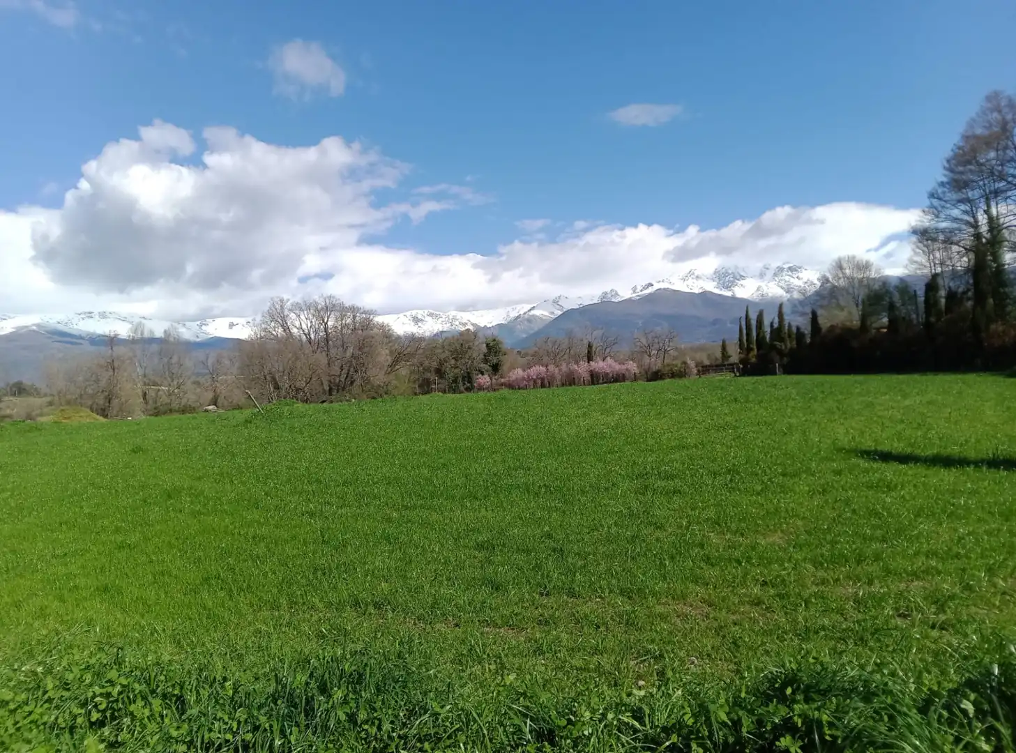 Terreni e lotti in vendita a Paraje Dehesa el Gamo 2, imagen 9