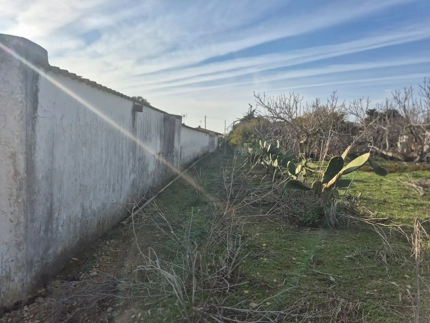 Terreny rústic en venda a Conil, imagen 19