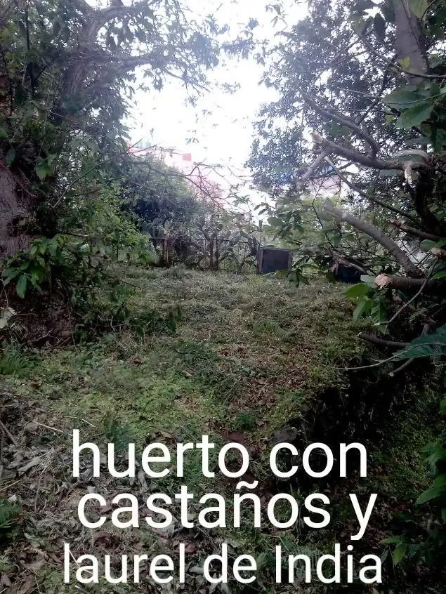 Residencial en venda en Icod de los Vinos