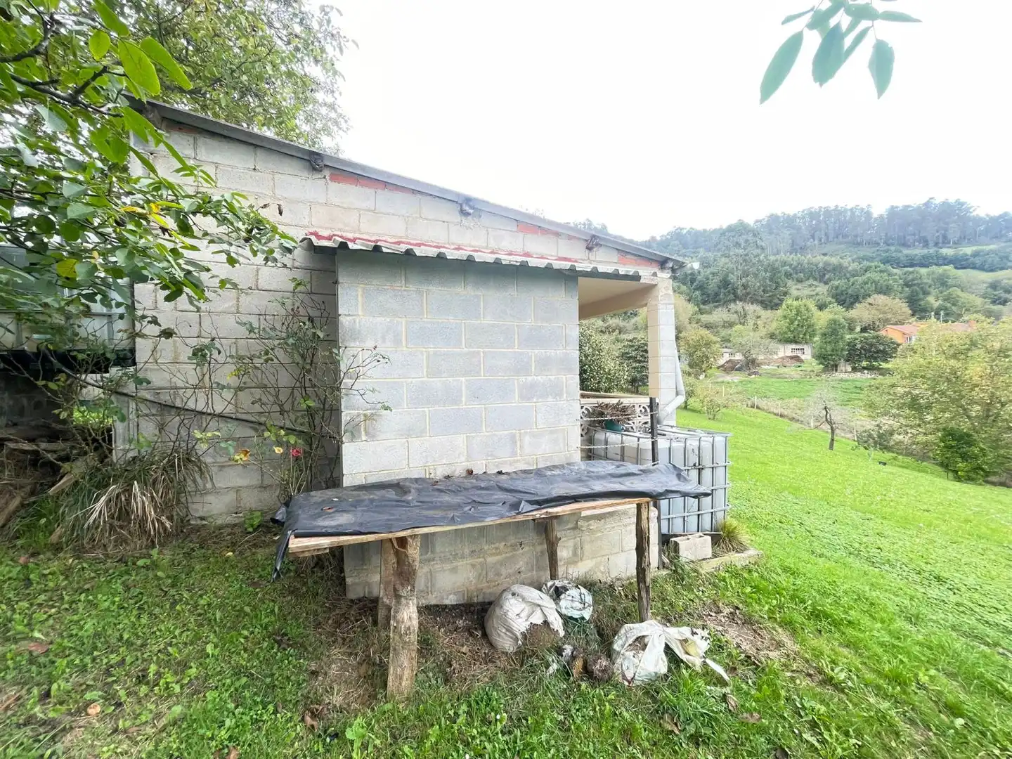 Vista exterior de Finca rústica en venda en Siero