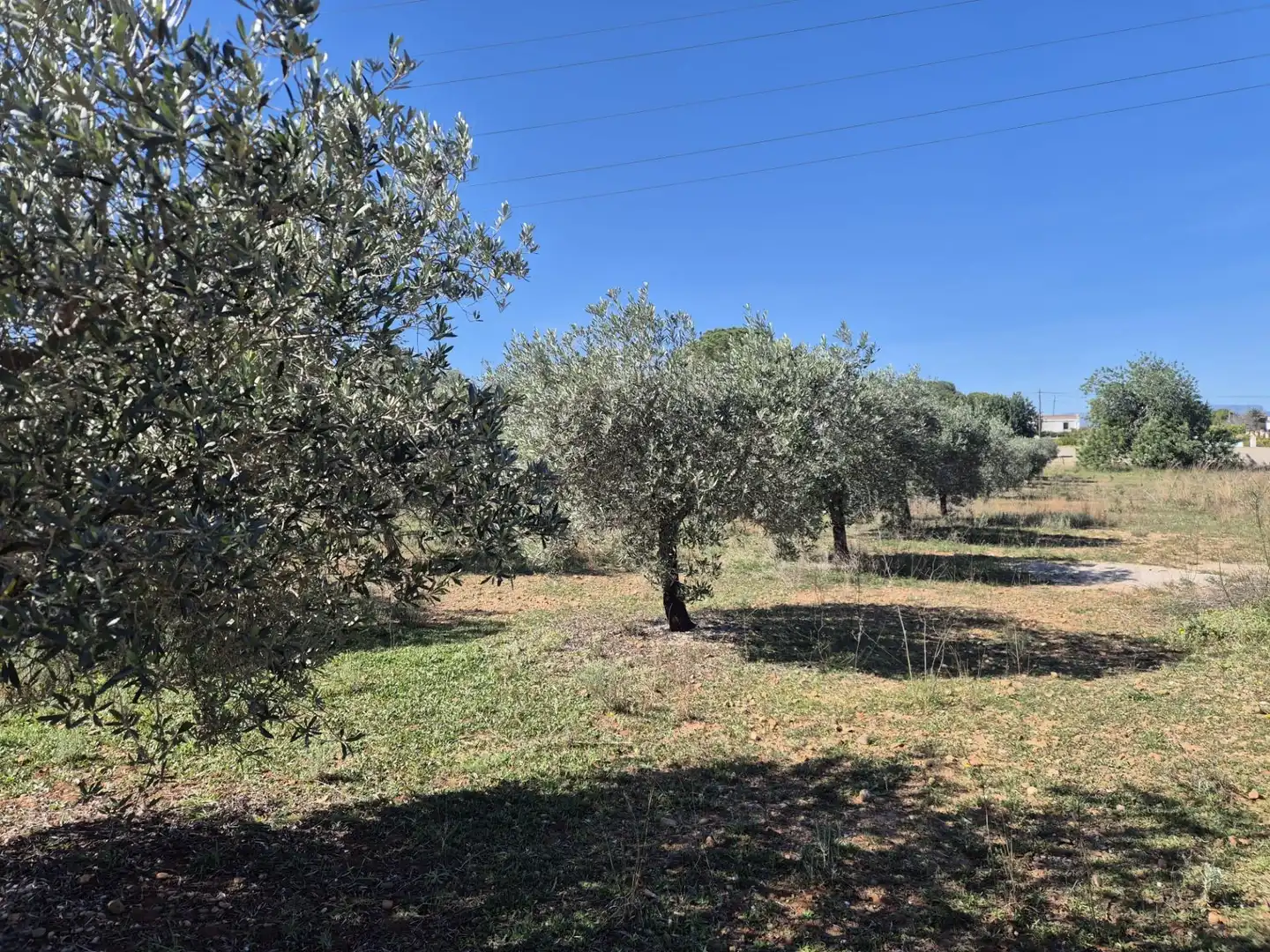 Houses for sale in Amposta  with Heating, Private garden and Terrace