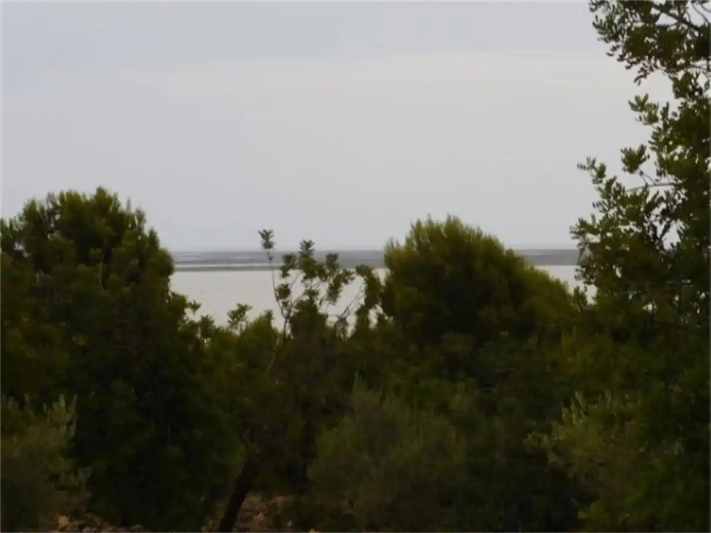 Finca rústica en venda en Alcanar