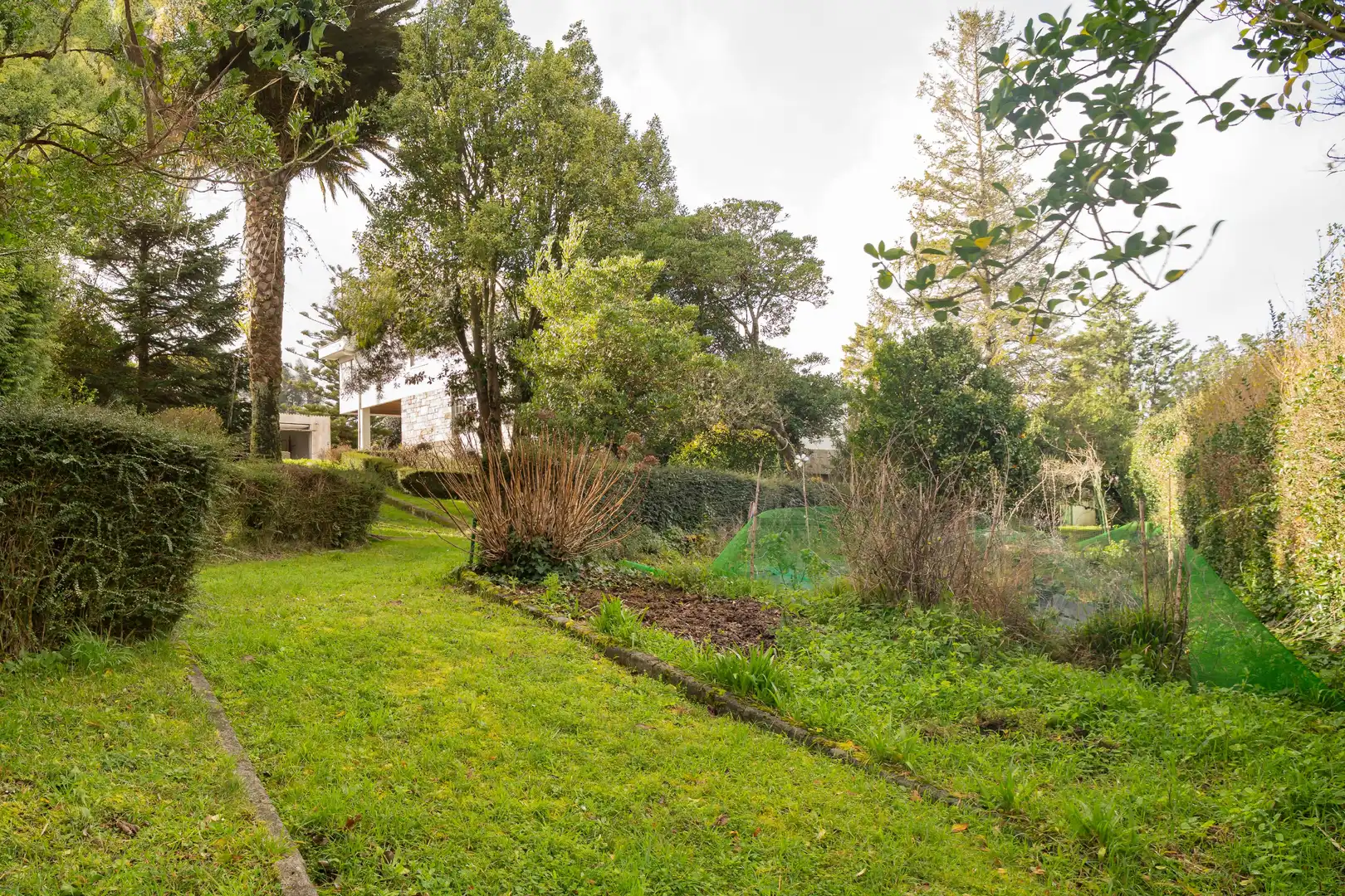 Jardín de Casa o chalet en venta en A Coruña Capital  con Calefacción, Jardín privado y Terraza