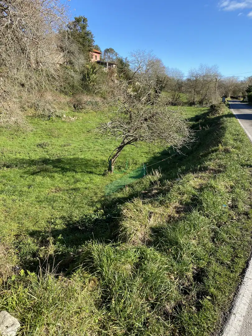 Terreno rustico in vendita a Pereda, La - La Pereda, imagen 2