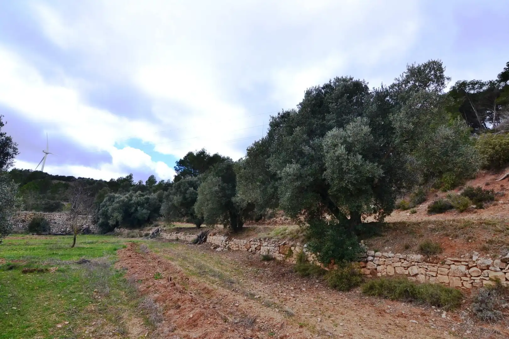 Terreno en venta en Vilalba dels Arcs