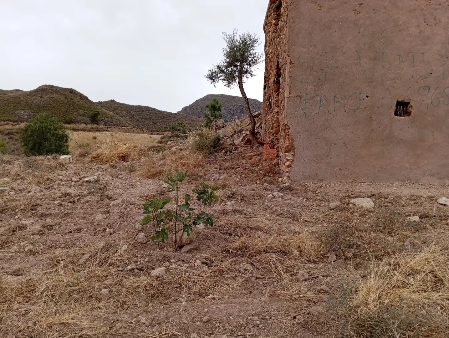 Terreni e lotti in vendita a Bolnuevo, imagen 7