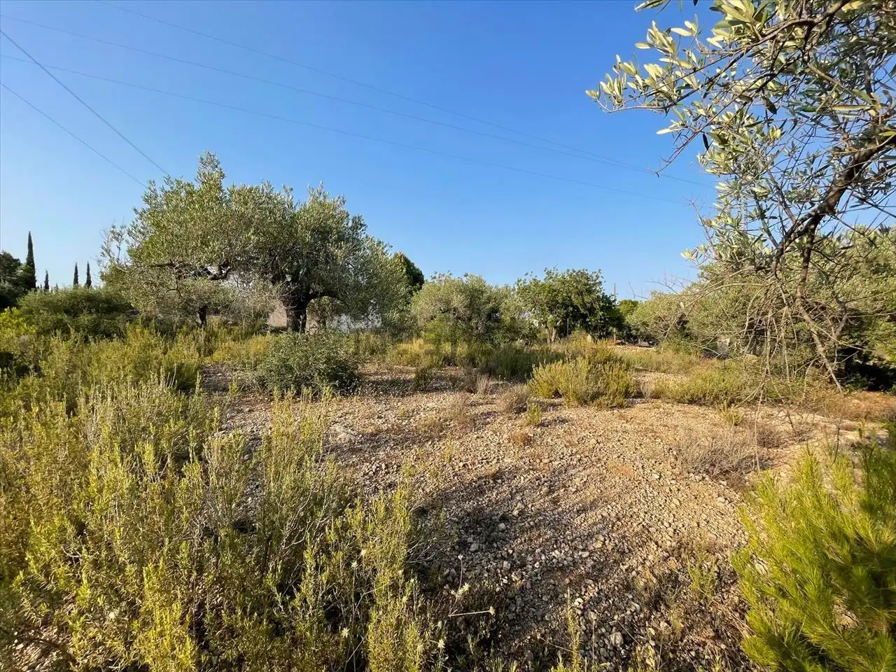 Terreno residencial en venta en Poligono 63, imagen 2