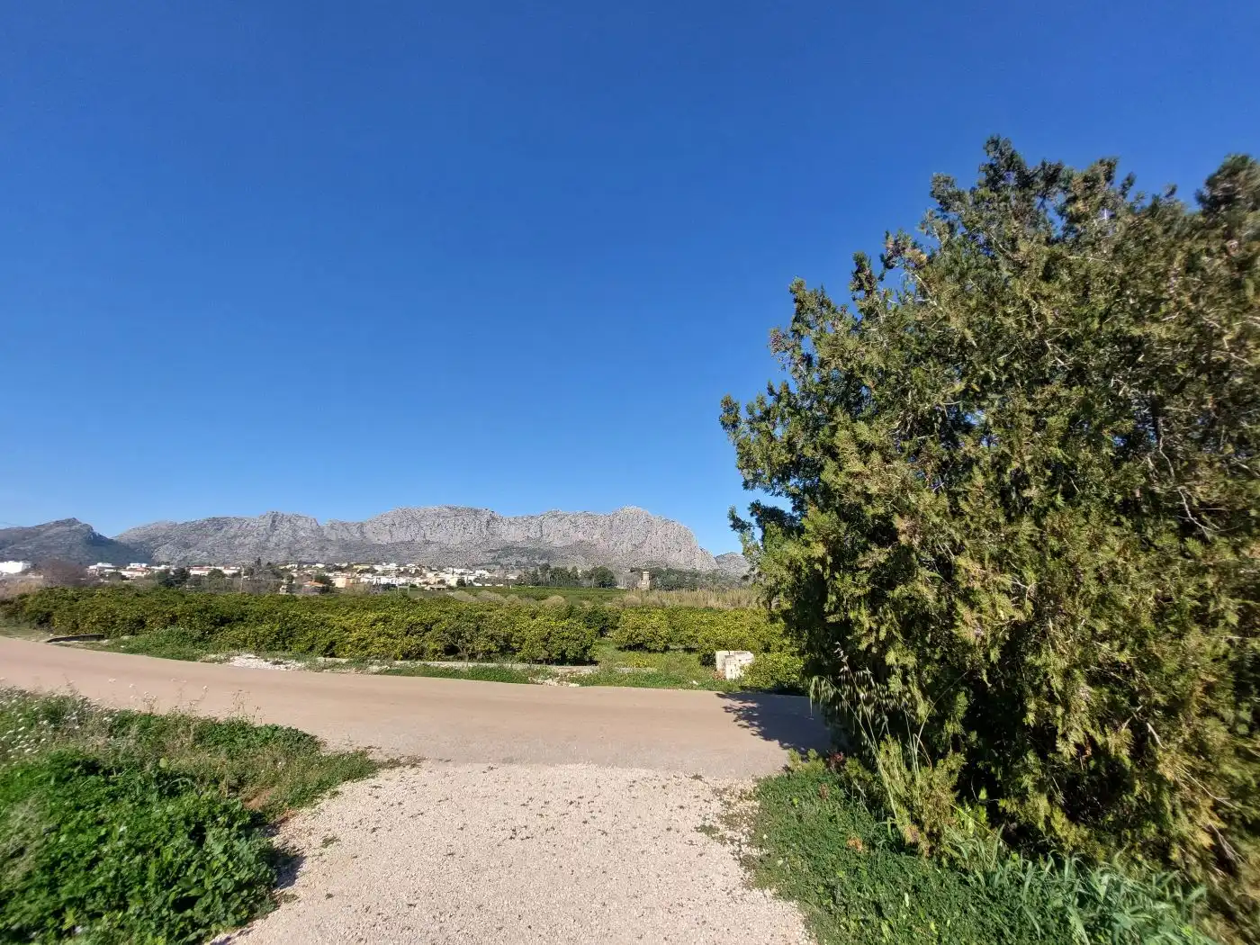 Rural land for sale in Beniarbeig, imagen 11