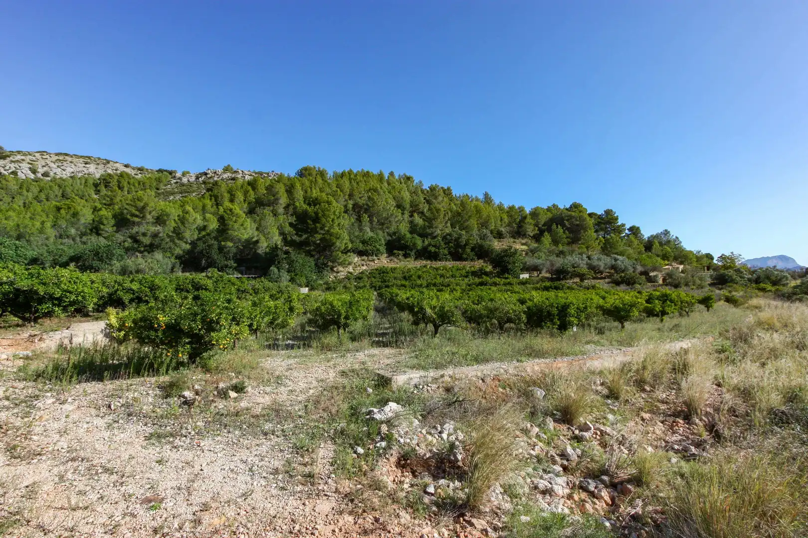 Wohnbaugrundstück zum Verkauf in Sagra, imagen 5