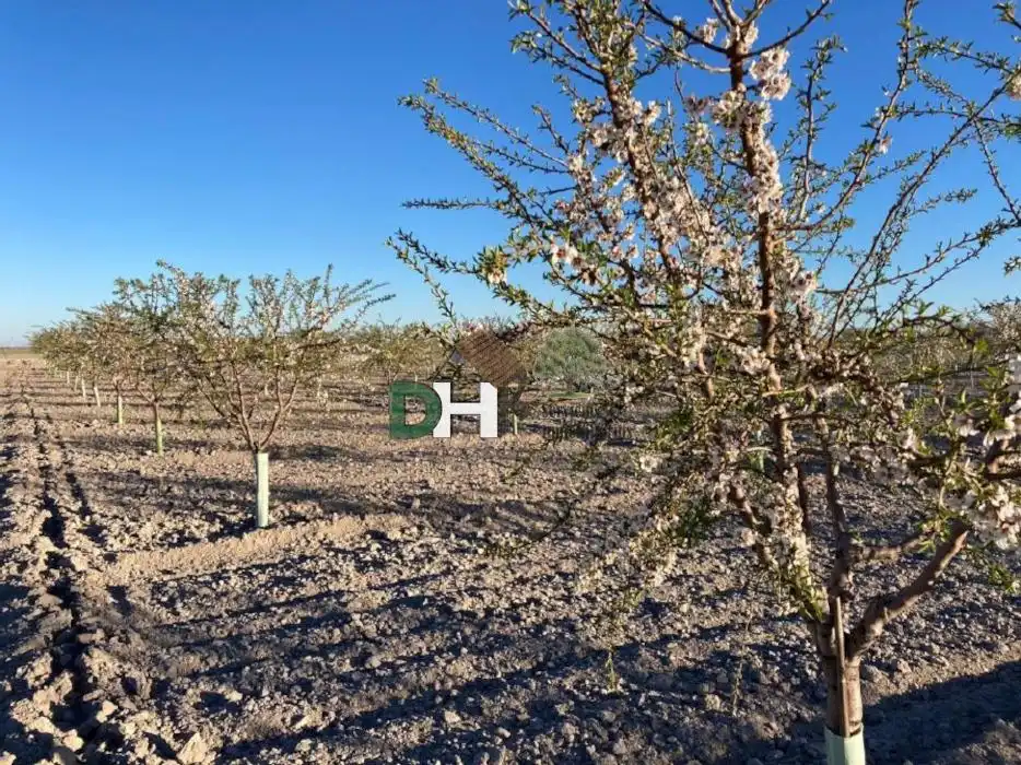 Terrenys i solars en venda a Los Cigarrales - La Bastida, imagen 5