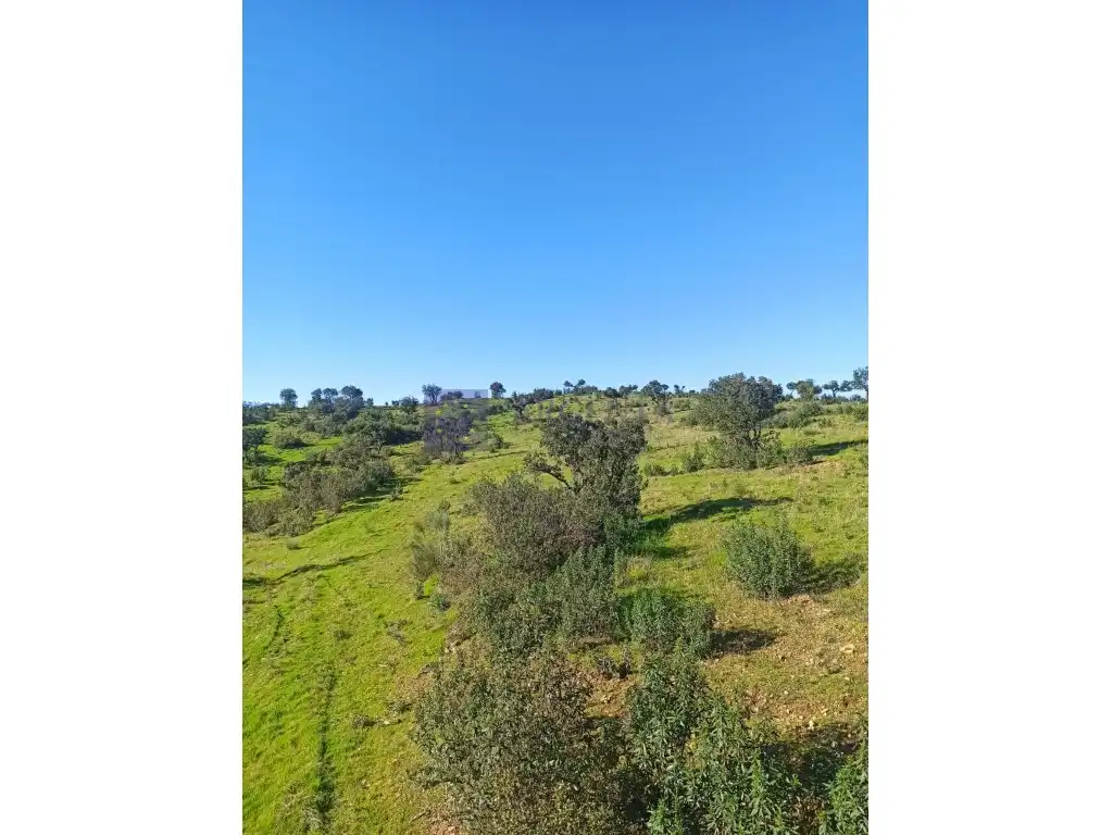 House for sale in Valencia de Alcántara, imagen 2