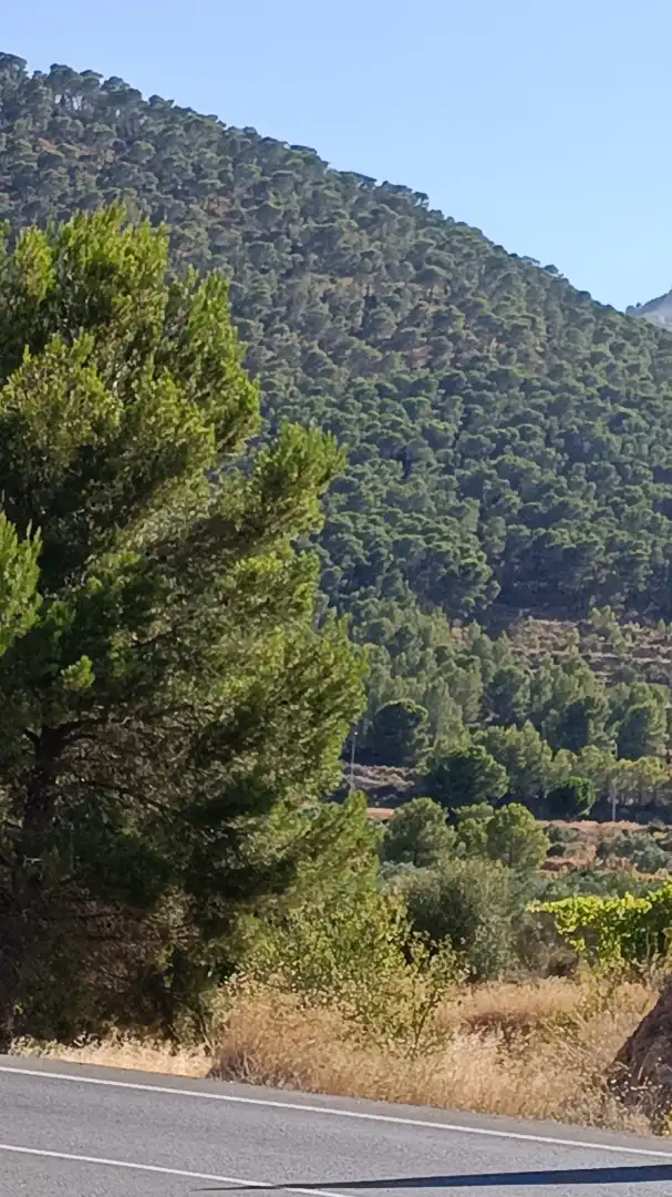 Vista exterior de Finca rústica en venta en Tibi con Jardín privado y Terraza